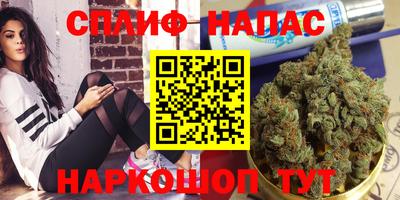 спайс Нальчик
