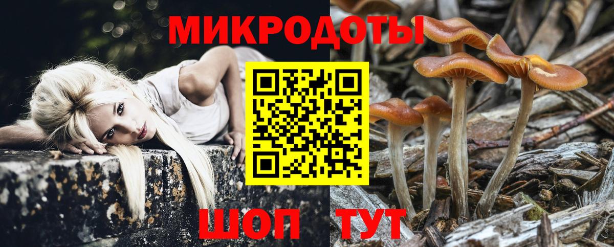 Сургут  Галлюциногенные грибы Psilocybe  Вход с VPN 